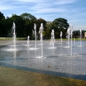 WP_20131006_11_05_47_SmartShoot